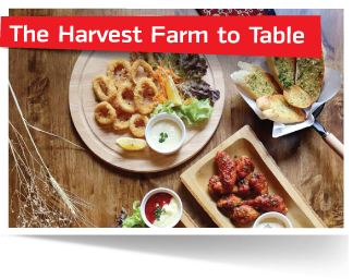 the harvest farm to table