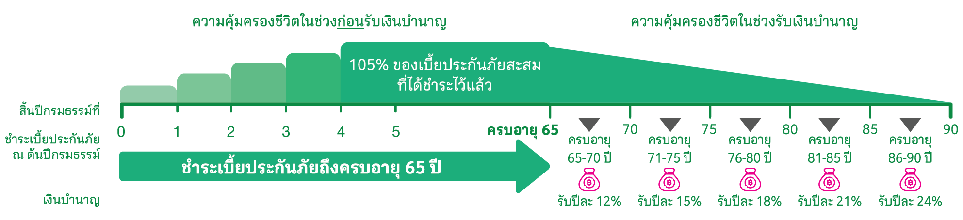 ประกันออมสั้น 11/3 รับเงินคืนปีละ 3% คุ้มครองชีวิตเพิ่มขึ้นถึง 300% จนครบสัญญา รับผลตอบแทนรวม 309%