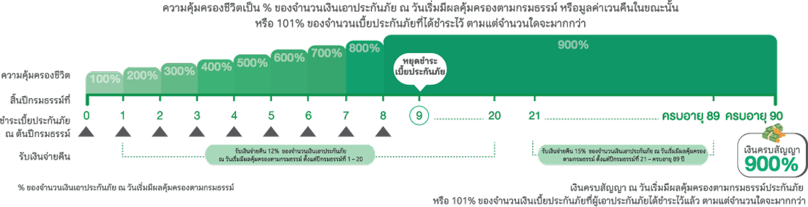 ประกันออมสั้น 11/3 รับเงินคืนปีละ 3% คุ้มครองชีวิตเพิ่มขึ้นถึง 300% จนครบสัญญา รับผลตอบแทนรวม 309%