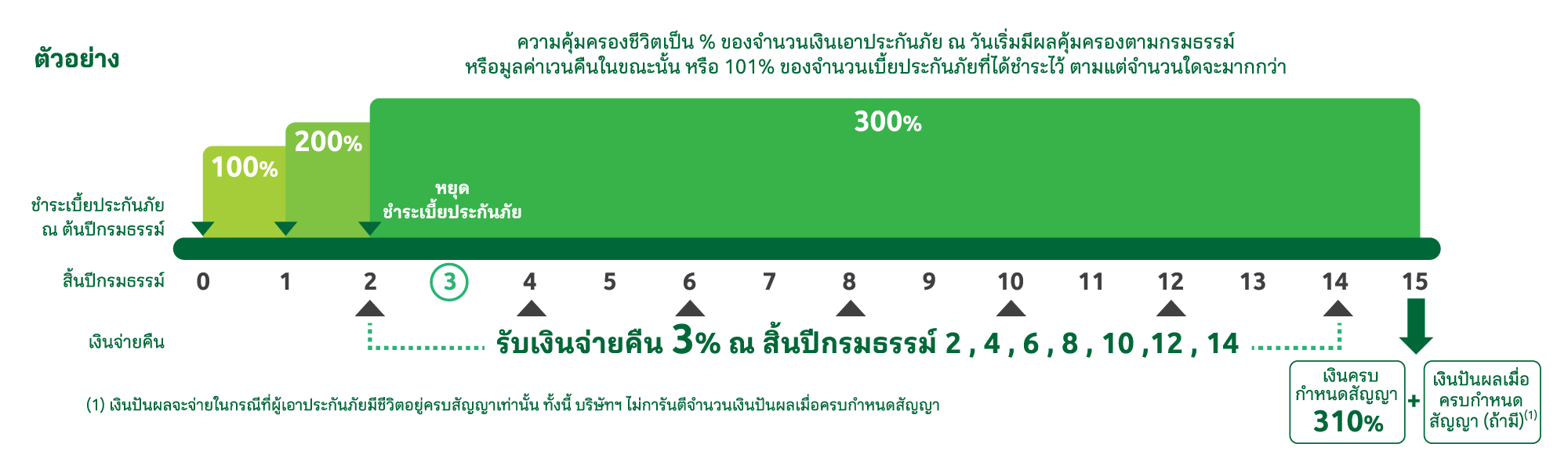 ประกันชีวิตสะสมทรัพย์ 15/3 มีเงินปันผล จนครบสัญญา รับผลตอบแทนรวม 310%