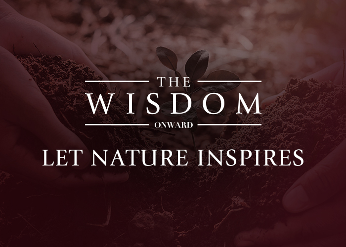 THE WISDOM ONWARD E-NEWSLETTER : ISSUE 30 JUNE 2021 | นิตยสาร ข่าวสาร และ สิทธิพิเศษประจำเดือน มิถุนายน 2562