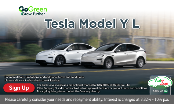 TESLA Model Y L