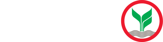Kasikorn bank logo