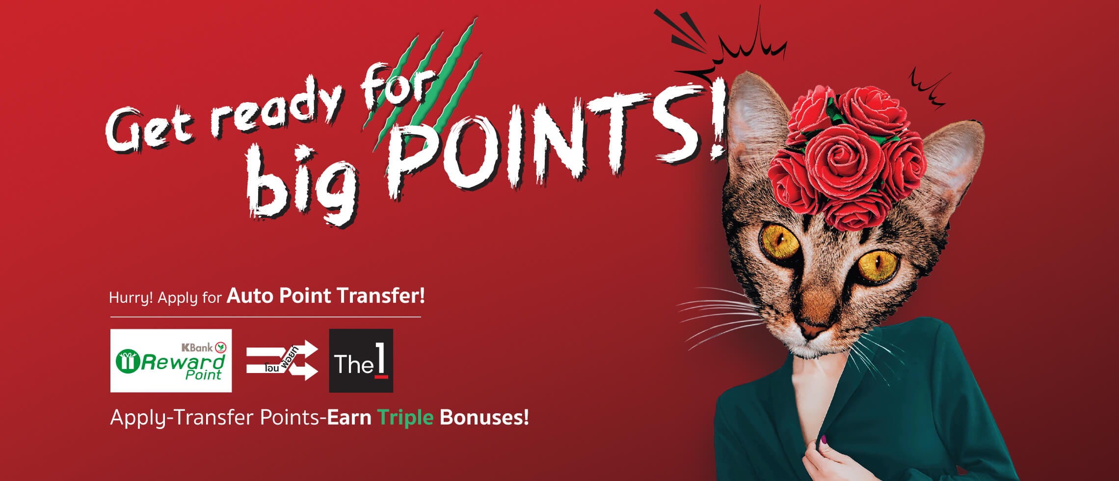 exclusive-k-credit-card-privileges-hurry-apply-for-auto-point