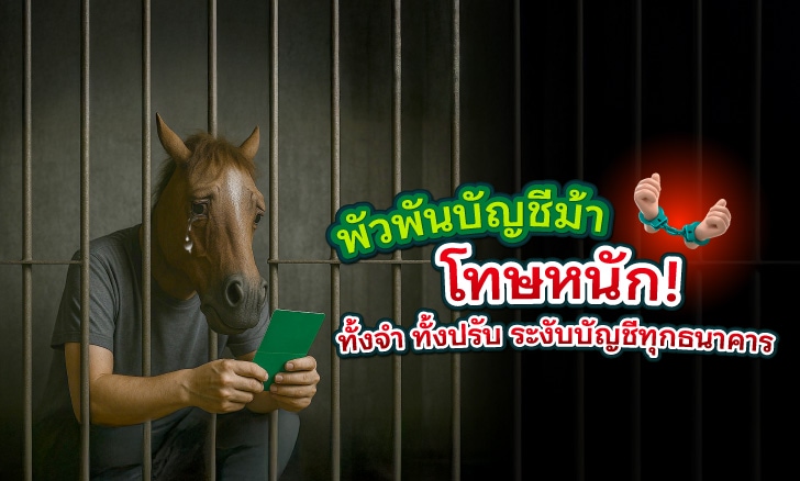 SATI บัญชีม้า